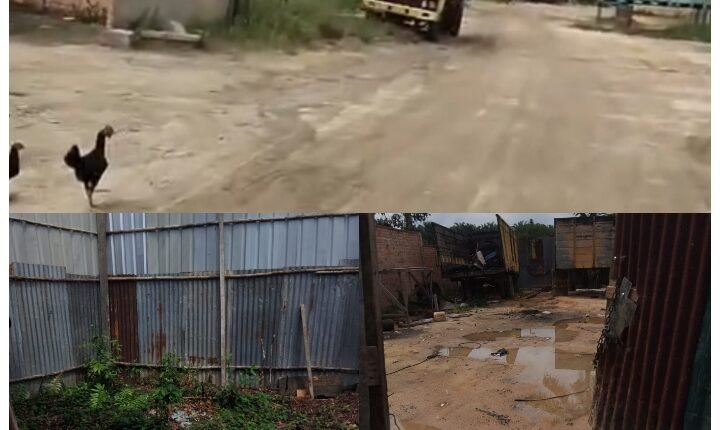 foto slider headline