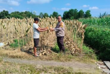 headline-foto
