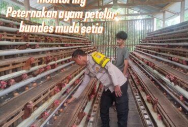 headline-foto