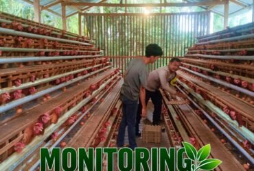 headline-foto